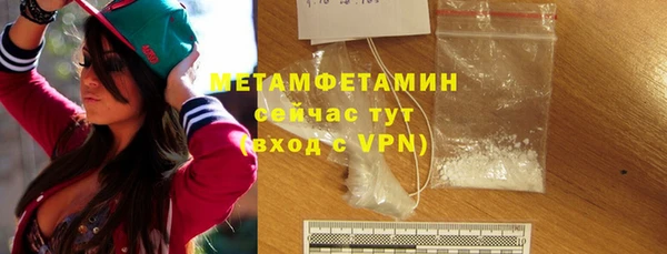 сатива Беломорск
