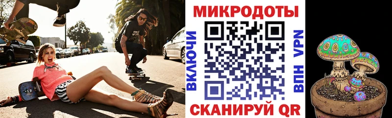 Галлюциногенные грибы прущие грибы  Чернушка 