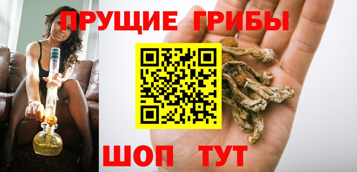 Псилоцибиновые грибы GOLDEN TEACHER Чернушка