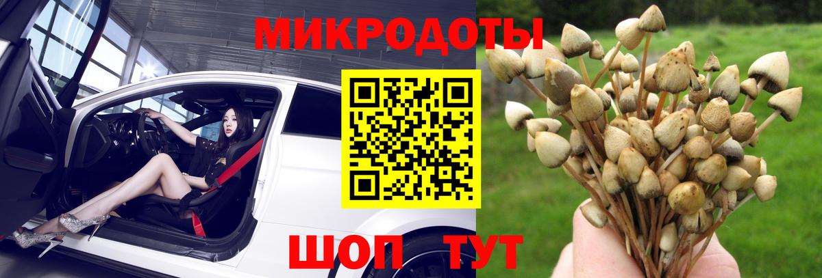 Чернушка  Галлюциногенные грибы ЛСД  Вход с VPN  Псилоцибиновые грибы GOLDEN TEACHER 
